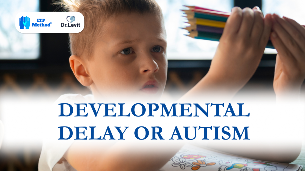 DEVELOPMENTAL DELAY OR AUTISM IN A CHILD